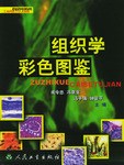 组织学彩色图鉴 pdf epub mobi 电子书 下载