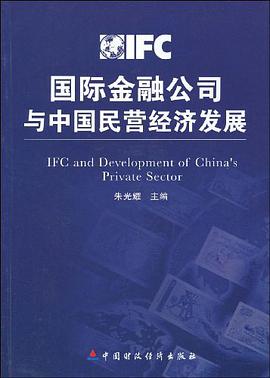 国际金融公司与中国民营经济发展 pdf epub mobi 电子书 下载