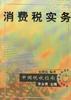 消费税实务 pdf epub mobi 下载