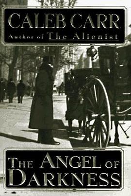 THE ANGEL OF DARKNESS pdf epub mobi 电子书 下载