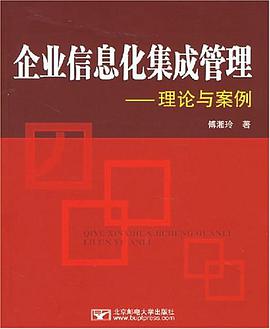 企业信息化集成管理 pdf epub mobi 电子书 下载