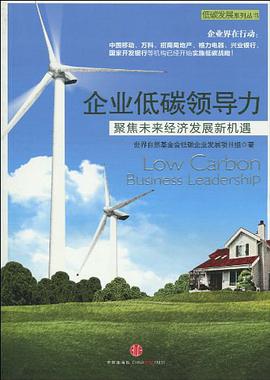 企业低碳领导力