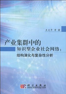 产业集群中的知识型企业社会网络 pdf epub mobi 电子书 下载
