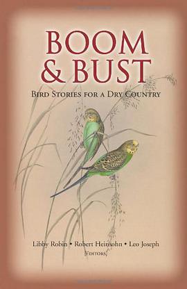 Boom and Bust pdf epub mobi 电子书 下载