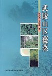 武陵山区薇菜 pdf epub mobi 电子书 下载