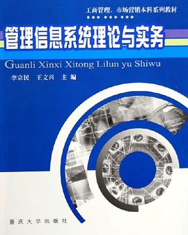 管理信息系统理论与实务 pdf epub mobi 电子书 下载