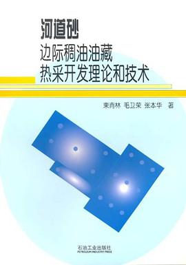 河道砂边际稠油油藏热采开发理论和技术 pdf epub mobi 电子书 下载