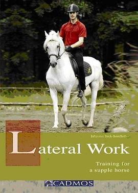 Lateral Work pdf epub mobi 电子书 下载