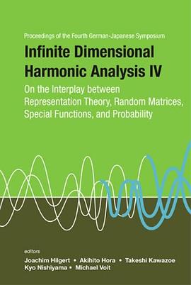 Infinite Dimensional Harmonic Analysis pdf epub mobi 電子書 下載