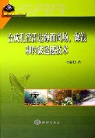 合成孔径雷达海面风场海浪和内波遥感技术 pdf epub mobi 电子书 下载