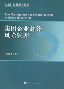 集团企业财务风险管理 pdf epub mobi 电子书 下载
