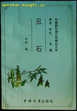 丑石 pdf epub mobi 电子书 下载