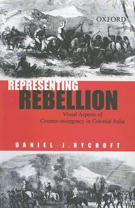 Representing Rebellion pdf epub mobi 电子书 下载
