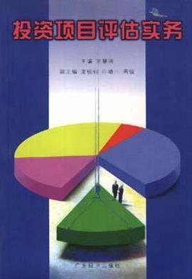 投资项目评估实务 pdf epub mobi 电子书 下载