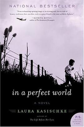 In a Perfect World pdf epub mobi 电子书 下载