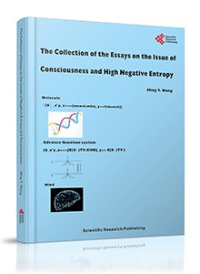 意识问题与高负熵问题论文合集 pdf epub mobi 电子书 下载