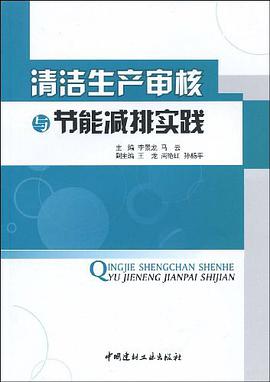 清洁生产审核与节能减排实践 pdf epub mobi 电子书 下载