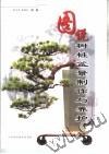 图说树桩盆景制作与养护 pdf epub mobi 电子书 下载