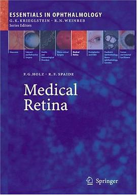 Medical Retina pdf epub mobi 下载