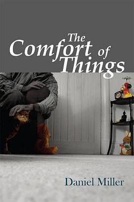 The Comfort of Things pdf epub mobi 电子书 下载