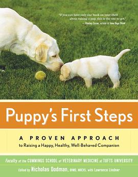 Puppy's First Steps