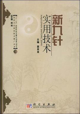 新九针实用技术 pdf epub mobi 电子书 下载