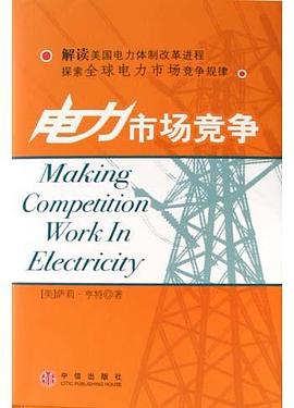 电力市场竞争 pdf epub mobi 电子书 下载