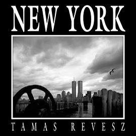 New York pdf epub mobi 电子书 下载