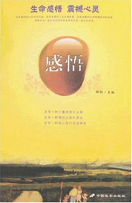 感悟 pdf epub mobi 电子书 下载