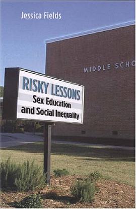 Risky Lessons pdf epub mobi 电子书 下载