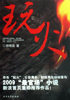 玩火 pdf epub mobi 电子书 下载