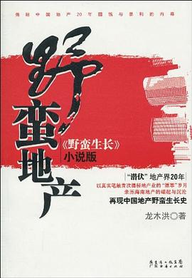 野蛮地产 pdf epub mobi 电子书 下载