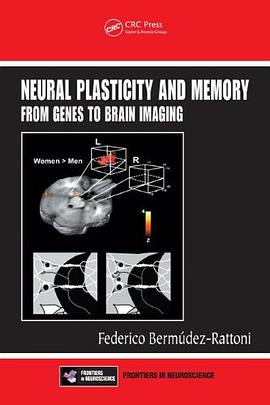 Neural Plasticity and Memory pdf epub mobi 电子书 下载