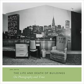 The Life and Death of Buildings pdf epub mobi 电子书 下载