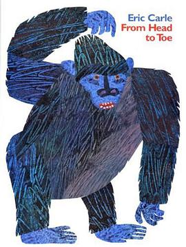 From Head to Toe Big Book pdf epub mobi 电子书 下载