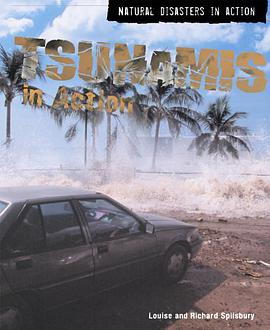 Tsunamis in Action pdf epub mobi 电子书 下载