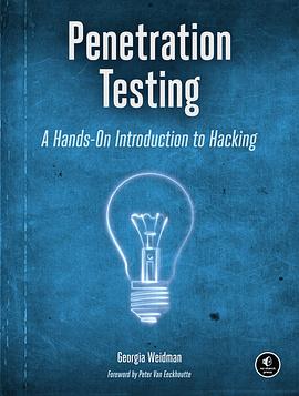 Penetration Testing pdf epub mobi 下载