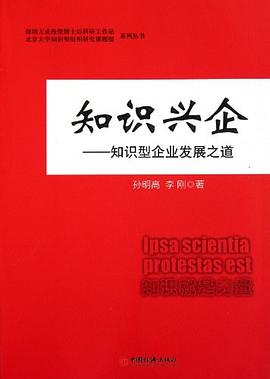 知识兴企 pdf epub mobi 电子书 下载
