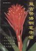箴言警语钢笔字帖 pdf epub mobi 电子书 下载
