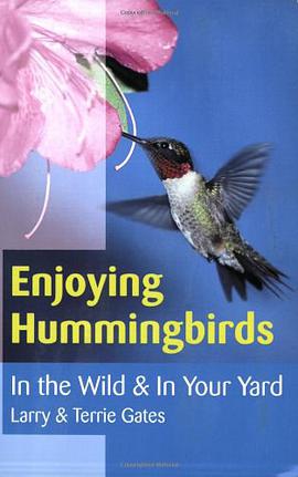 Enjoying Hummingbirds