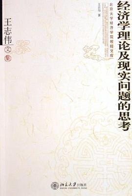 经济学理论及现实问题的思考 pdf epub mobi 电子书 下载