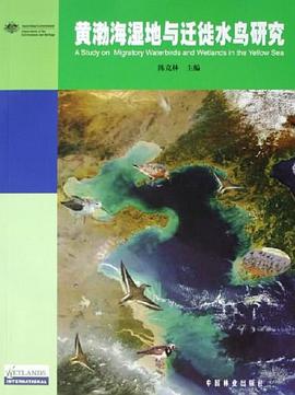 黄渤海湿地与迁徒水鸟研究 pdf epub mobi 电子书 下载