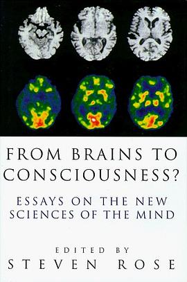 From Brains to Consciousness? Essays on the New Sciences of the Mind pdf epub mobi 电子书 下载