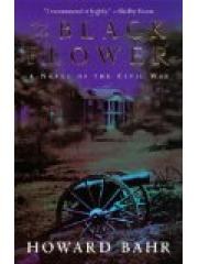 The Black Flower: A Novel of the Civil War pdf epub mobi 电子书 下载