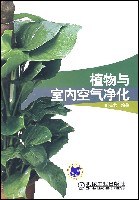 植物与室内空气净化