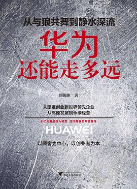 从与狼共舞到静水深流：华为还能走多远 pdf epub mobi 电子书 下载