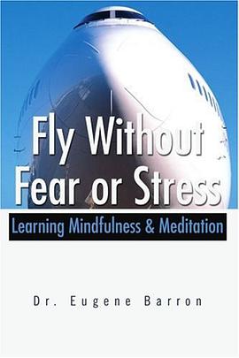 Fly without Fear or Stress pdf epub mobi 电子书 下载