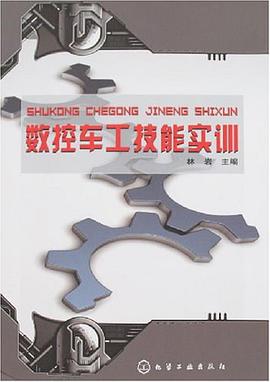 数控车工技能实训 pdf epub mobi 电子书 下载