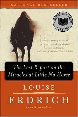 The Last Report on the Miracles at Little No Horse pdf epub mobi 电子书 下载