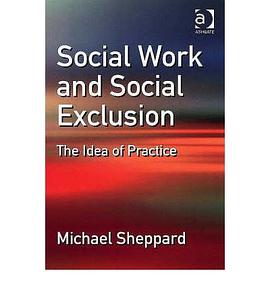Social Work And Social Exclusion pdf epub mobi 电子书 下载